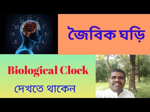 ভিডিও: জৈবিক ছন্দ মানসিকতাকে প্রভাবিত করে