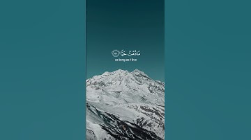 محمد حذيفة | سورة مريم | الآية ￼30-34