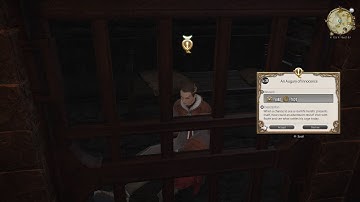 FFXIV Side Quest: An Augury of Innocence