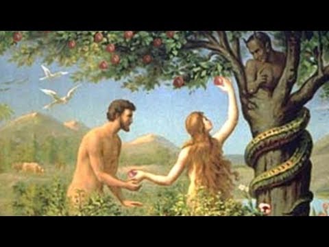 Video: Garden Of Eden Pomegranate