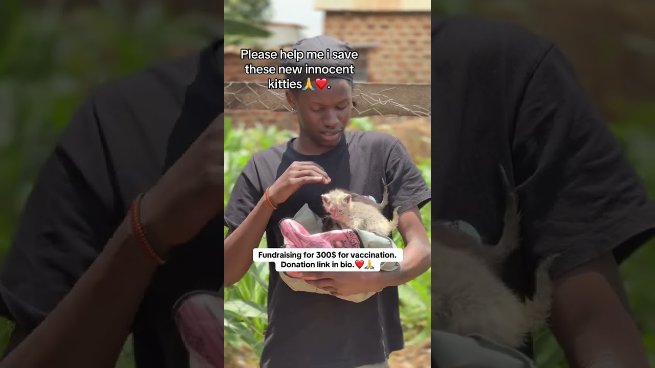 please don't scall we need your support kindly donate something you can please God bless you 🙏