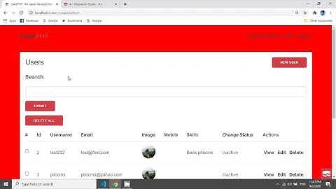 CakePHP 4 Add CSS or JS file for a single view (44)