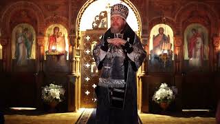 видео:  картинка: