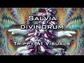 Salvia divinorum Trip Hyperspace Timetravel Matrix - Psychedelic Visuals made by AI Illustrip CLIP