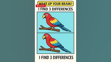 🦜 Find 3 Differences | Colorful Parrot