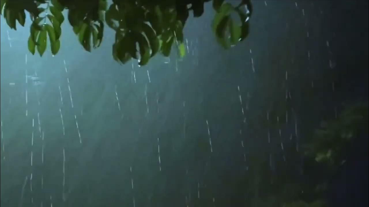 Дождь стеной песня