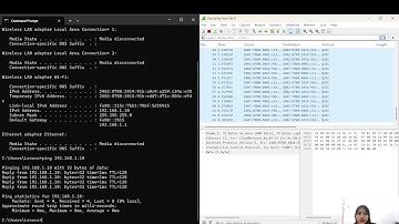 7.1.6 Lab - Use Wireshark to Examine Ethernet Frames Topology