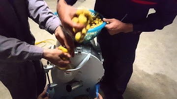 Máy thái lát gừng