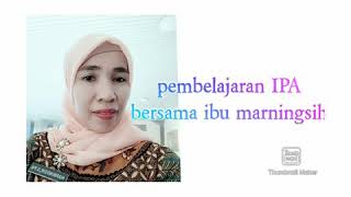Pelajaran ipa kelas 7 -