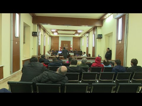 ნიკა მელია საქართველოს პარლამენტის წინააღმდეგ