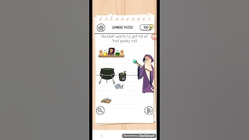 Brain Test 3, Level 11