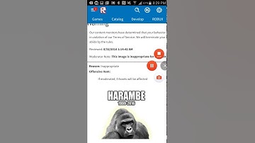 BANNED FOR HARAMBE PICTURE????!!!! Roblox banned meh