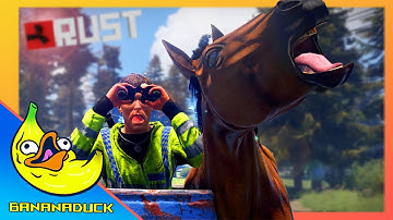 TERMINUS RUST: WIPE PANIC