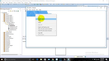 SAG Webmethod Training Tutorial 4 : Processing Flat File