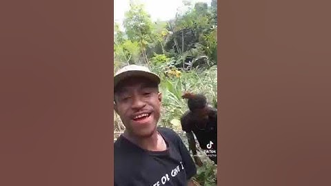 VIDEO TIKTOK VIRAL LUCU REMAJA PAPUA (PACARMU GANTENG??? BISA CABUT SINGKONG TIDAK?))