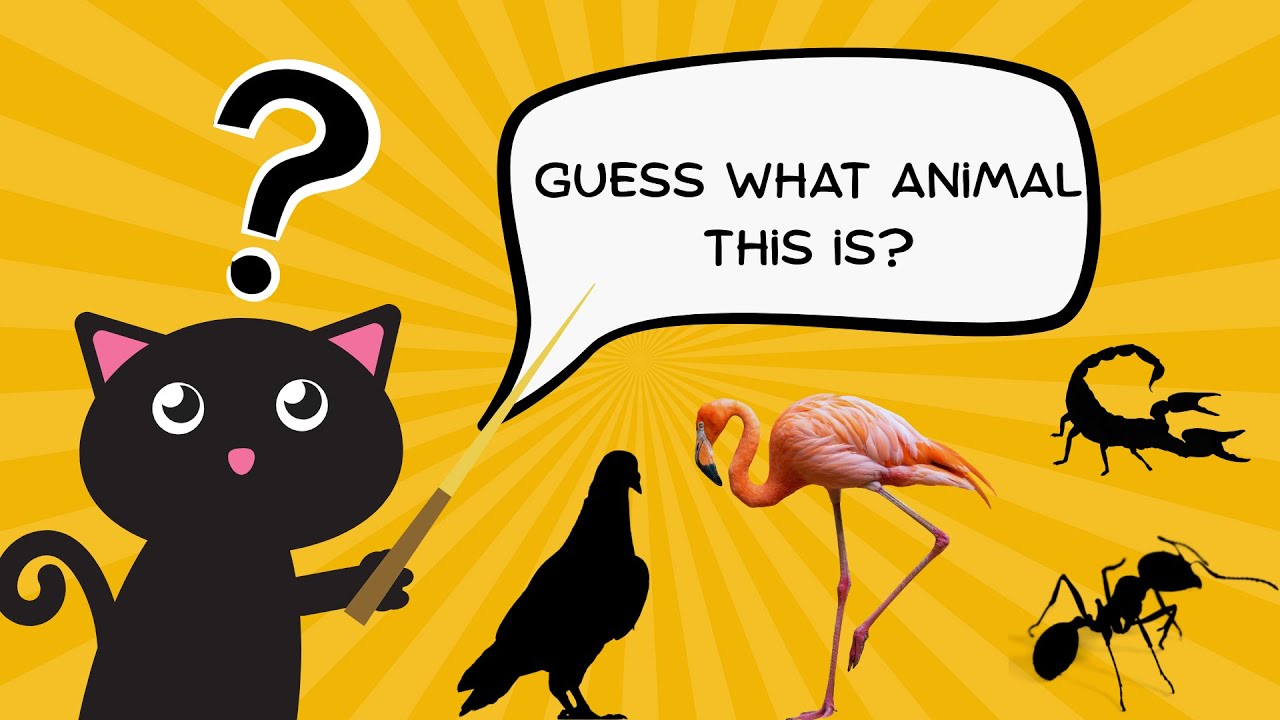 GUESS THE SHADOW! | FUN ANIMAL QUIZ FOR KIDS | #6 - YouTube