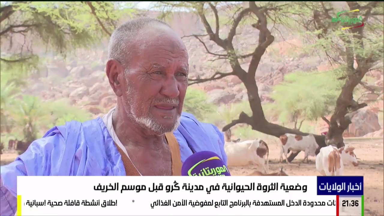 وضعية الثروة الحيوانية في مدينة گرو قبل موسم الخريف