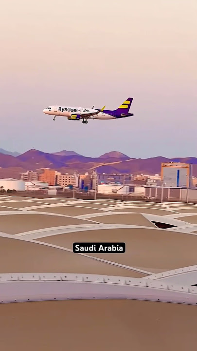 Air fredal #landing #viralvideo #shortvideo #shortsfeed  #travel #trending