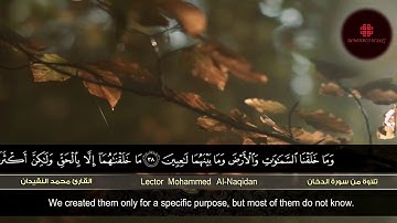 تلاوة من سورة الدخان للقارئ محمد النقيدان