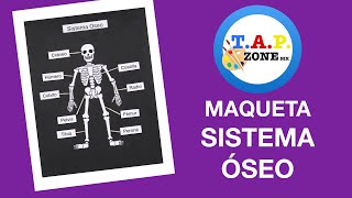 Como hacer la maqueta del Sistema Oseo - TAP ZONE Mx