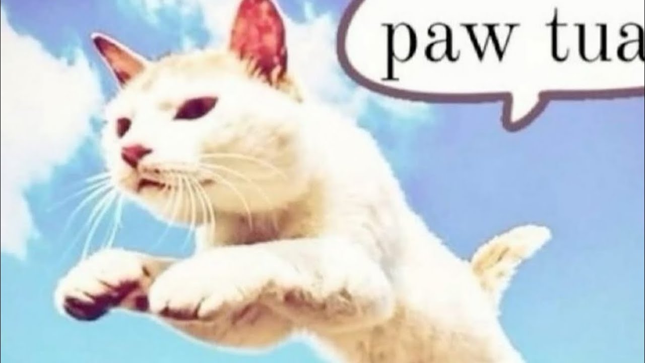 [FREE] “PAW TUAH” SEMTEXX x ETEOCLES type beat (prod sxul)