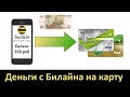 Как перевести деньги с Билайна на карту? [Сбербанка, ВТБ и др.]