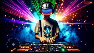 Sido Ft. Kitty Kat Ich Und Meine Katze Tekk Remix 2024 Stereotape