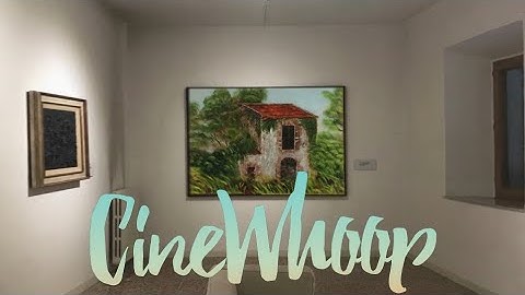 CineWhoop Cloud 149 drone Hero 8 2.7K 50fps HyperSmooth , 4S 1300mAh ,only color correction