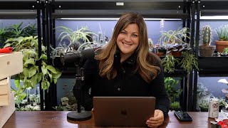 Download Lagu Is There a Decorating Prize in Your Town? // Will You Replace Annuals with Perennials Over Time? MP3