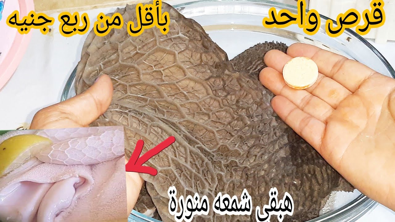 اقسم بالله قرص واحد بأقل من ربع جنيه هينضف الكرشه بسرعه الصاروخ بدون ميه ولا سكينه هتبقي شمعة منورة