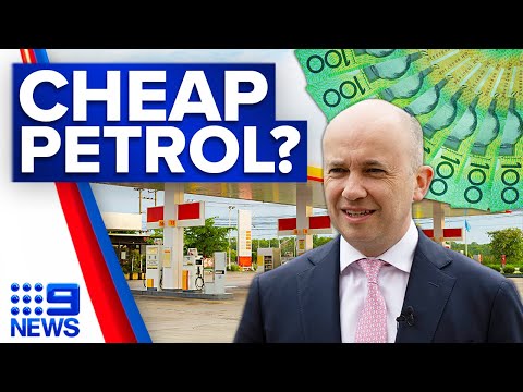 Where you can find the cheapest petrol in nsw this christmas | 9 news australia