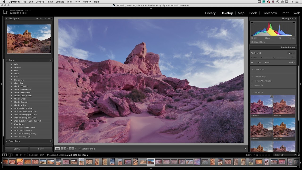 Adobe Lightroom y Camera RAW se actualizan y dan mayor protagonismo a los  perfiles