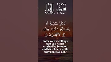 #سورة النمل / أجمل و اروع تلاوة تريح القلوب  #اعجاب #اكسبلور #القران#القرآن_الكريم #لايك