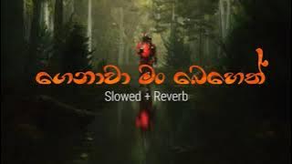 Alokaya ft Clairoxxya | Genawa Man Beheth (ගෙනාවා මං බෙහෙත්) (Slowed   Reverb) |Chama Beats