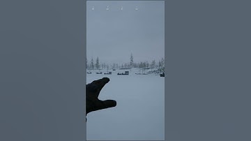 Best Grenade Animation EVER? #shorts #gaming #directcontact