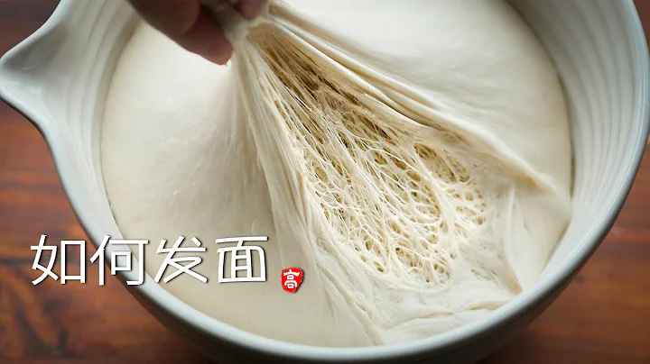 如何发面 Dough Fermentation - 天天要闻