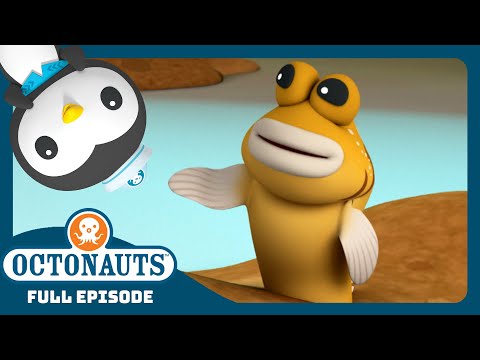 Octonauts The Mudskippers Season 3 Full Episode Cartoons For Kids