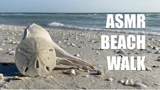 ASMR Virtual Beach Walk