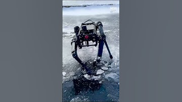 歩く戦闘機械：四足ロボット