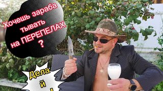 Хочешь зарабатывать на перепелах? Тогда смотри. Как быть в плюсе! НОВЫЕ РЕЦЕПТЫ КОРМОВ PRO версии.👍