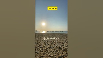 راحة نفسية ❤️🤍🤍 #islamexplained #قرآن #اية_الكرسي #سعد_الغامدي #سورة_البقرة #يوم_الجمعة