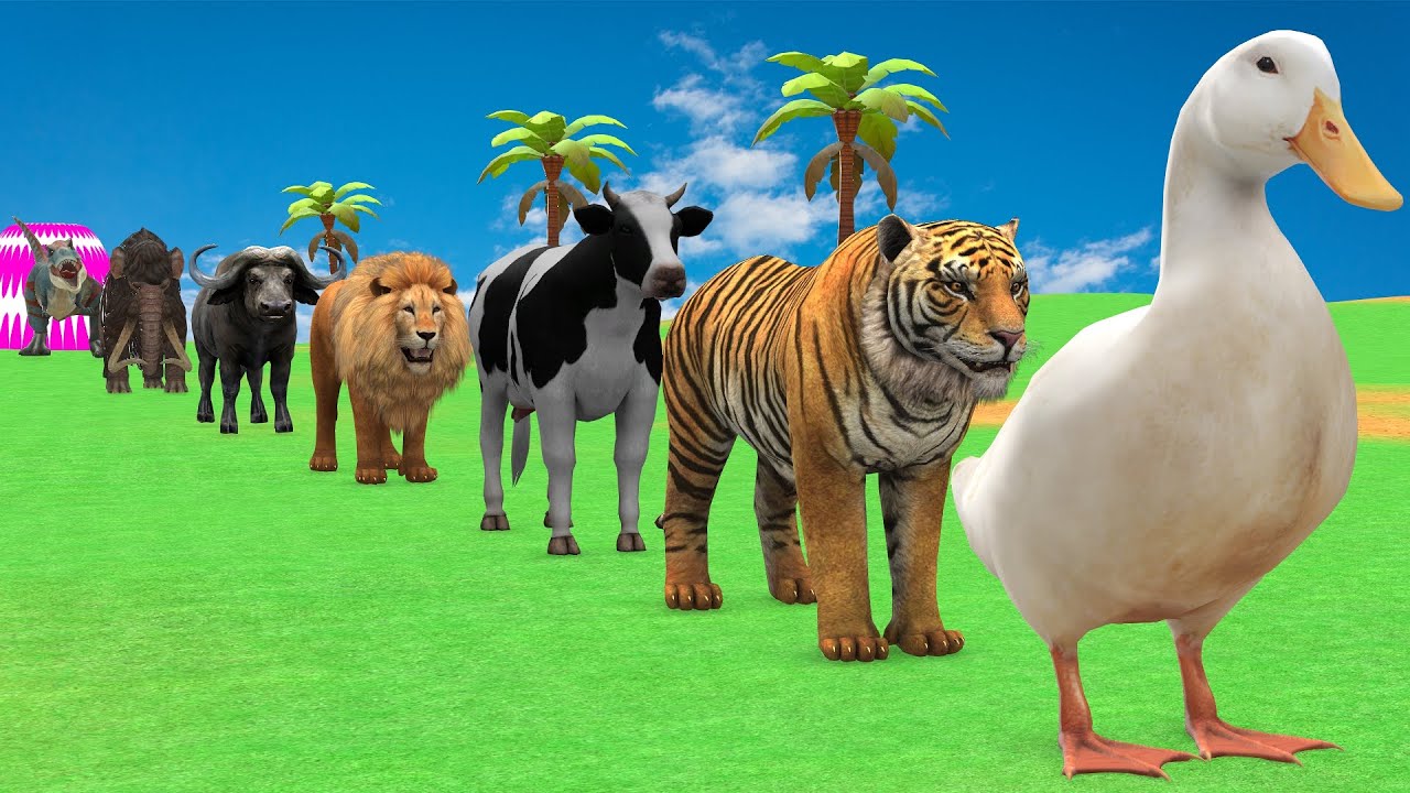 Long Slide Game with Cow Elephant Gorilla Hippopotamus Tiger 3d Animal Game Funny 3d Animals