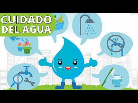 Video: Qué tipo de agua es. Tipos de agua en la naturaleza