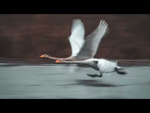 사랑한다는 말은 아끼지 말아요 이예준