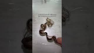 This Should Be Illegal