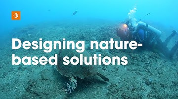 Nature-based solutions: Using engineering and nature to solve environmental challenges