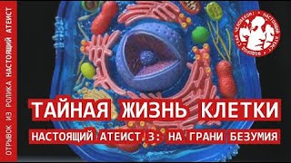 Тайная жизнь клетки (отрывки) | НАСТОЯЩИЙ АТЕИСТ 3: НА ГРАНИ БЕЗУМИЯ (отрывок)