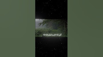 سورة النجم|56ـ62|القارئ:#محمد_اللحيدان #قران #quran #راحة_نفسية #قران_كريم #تلاوة_هادئة #تلاوة_خاشعة