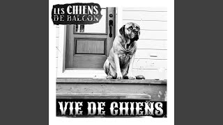 Video thumbnail of "Les Chiens de Balcon - Bam Bam"