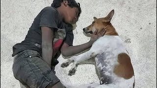 TOP Animals Heartbreaking, Emotional \/ Inspiring Will Melt Your Heart Copmpilation